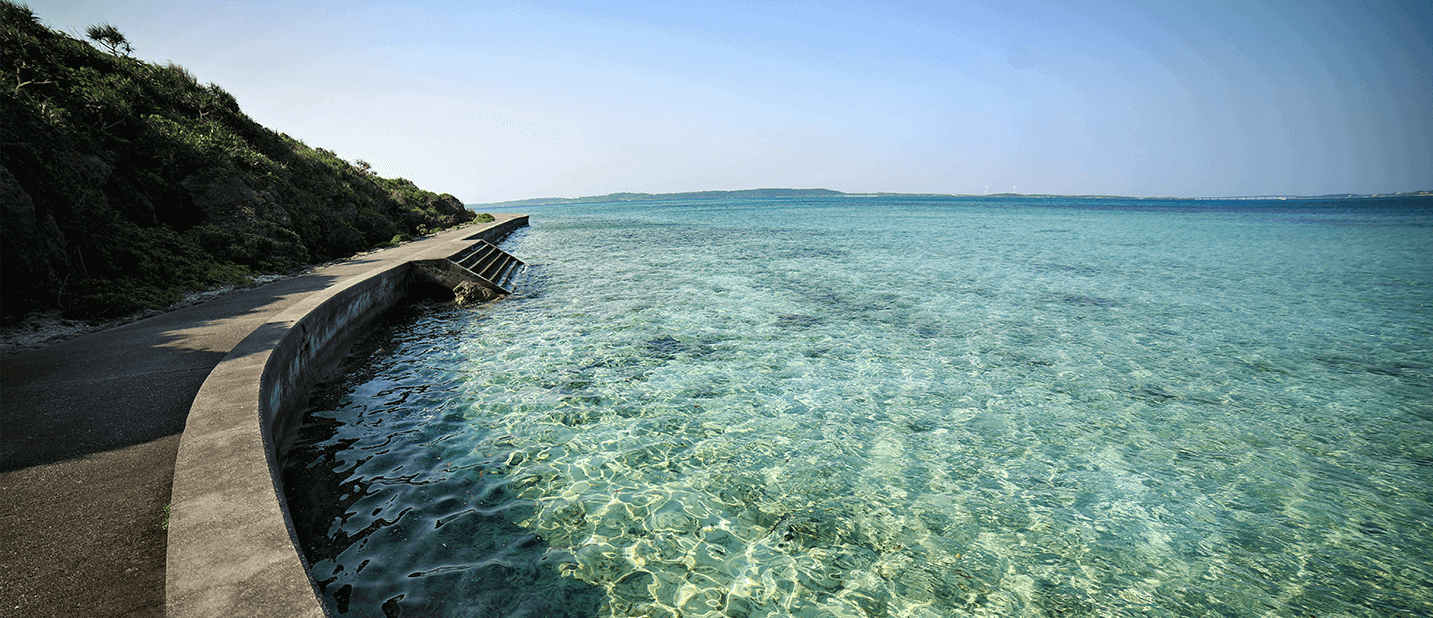透き通った海