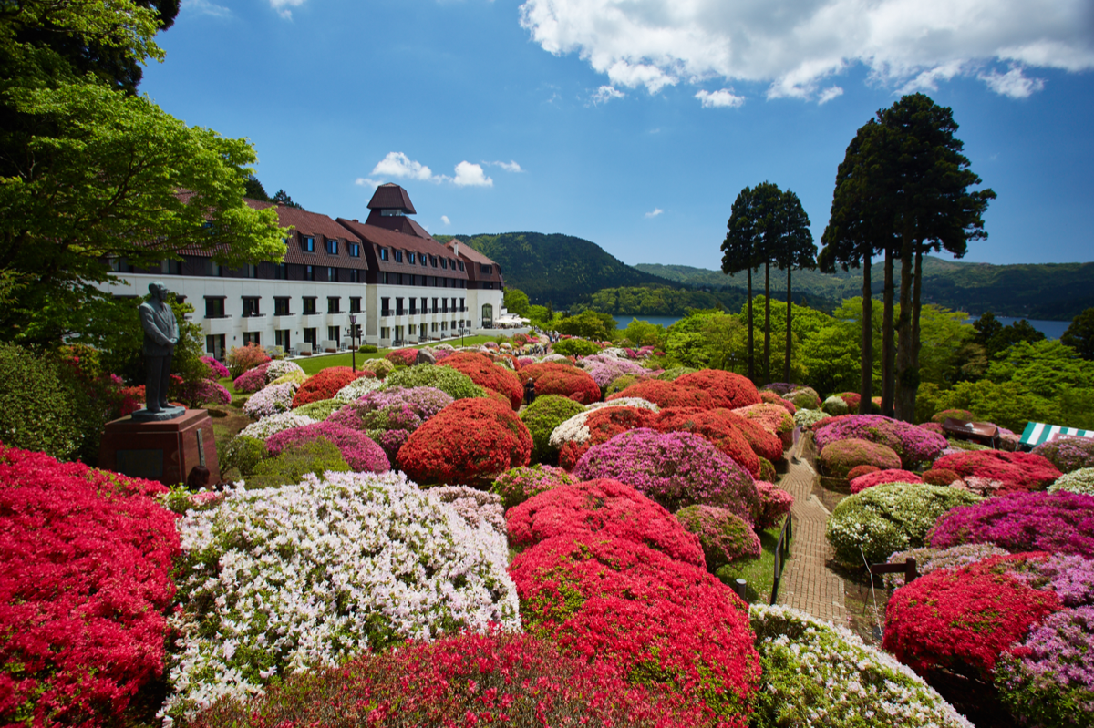 山のホテル 宿泊券